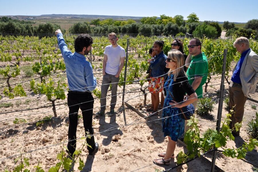 Madrid Region Wineries Guided Tour with Wine Tastings - Key Things You’ll Remember After the Tour