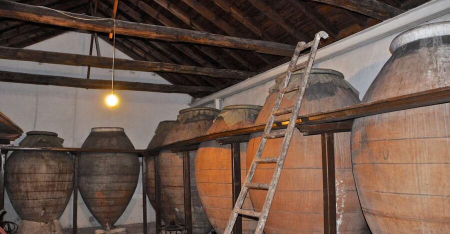 Madrid Region Wineries Guided Tour with Wine Tastings - Getting Started: Conde de Casal and the Scenic Ride Out of Madrid