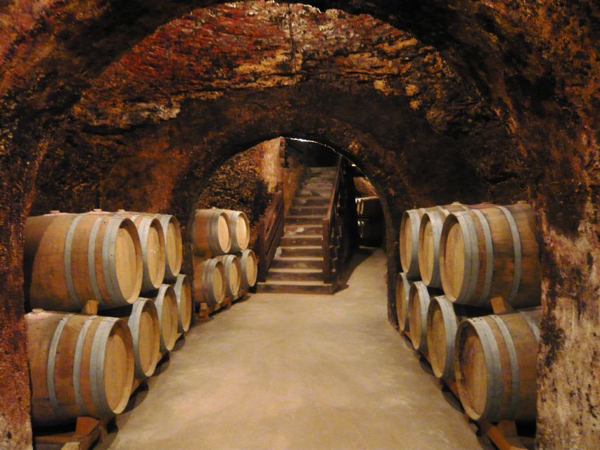 Madrid Region Wineries Guided Tour with Wine Tastings - Colmenar de Oreja: Vineyards, Caves, and Clay-Pot Traditions