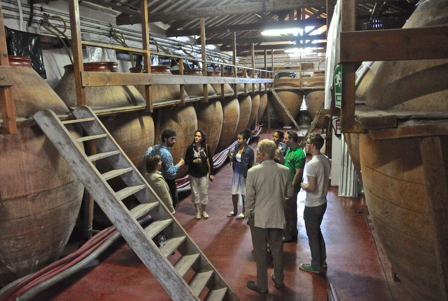 Madrid Region Wineries Guided Tour with Wine Tastings - The Appetizers: Small Plates That Actually Help