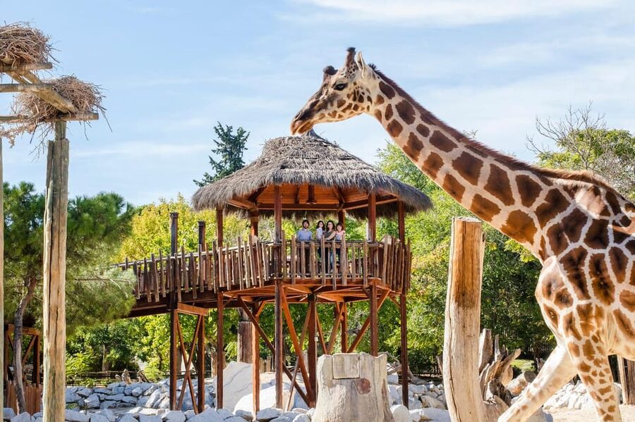 Madrid: Zoo Aquarium Madrid Ticket - Zoo Aquarium Madrid in Casa de Campo, what your ticket actually buys