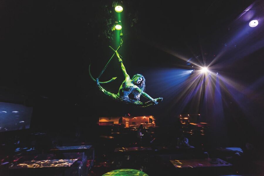 Magaluf: Pirates Adventure Dinner Show Ticket - Key highlights (what you should care about)