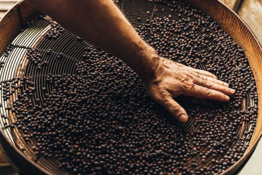 Mahón: Gin Distillery Tour with Tasting & Appetizers - The tour flow: 40 minutes of gin production, then free degustation time