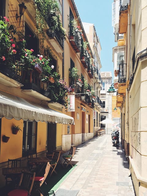 Málaga: 3-Hour Complete Walking Tour with Tickets - Historic center stroll: El Pimpi and the Picasso Museum area