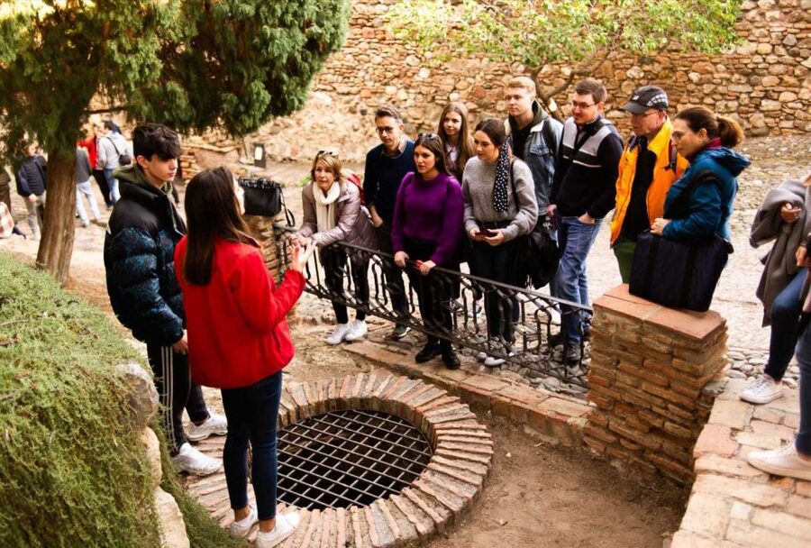 Málaga: Alcazaba and Roman Theatre Guided Tour With Entry - Should You Book This Alcazaba and Roman Theatre Tour?