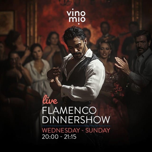 Malaga: Authentic Flamenco Dinner Show at Vino Mio - Key Things to Know Before You Go