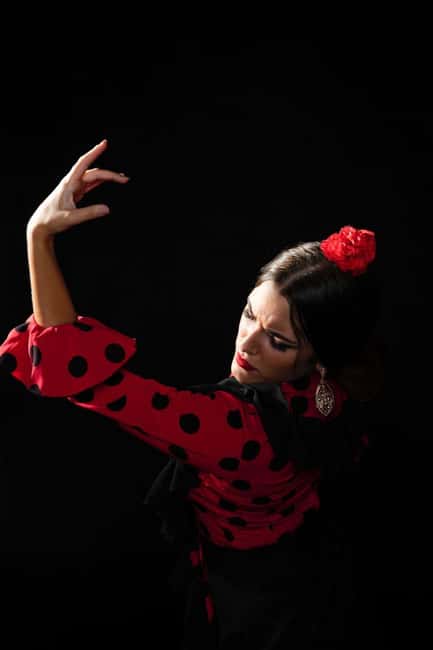 Malaga: Authentic Flamenco Dinner Show at Vino Mio - Meeting Point and Timing: Arrive Like You Mean It