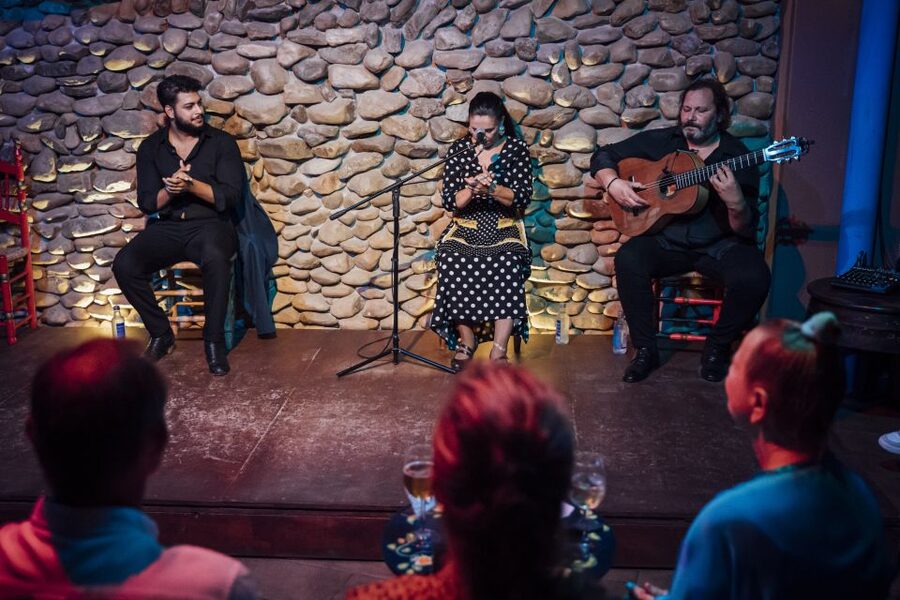 Malaga: Authentic Flamenco Show at El Gallo Ronco - Who this flamenco show suits best