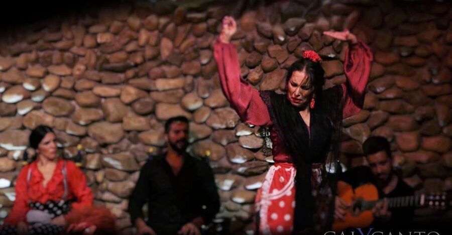Malaga: Authentic Flamenco Show at El Gallo Ronco - Why this feels more authentic than a typical tourist show