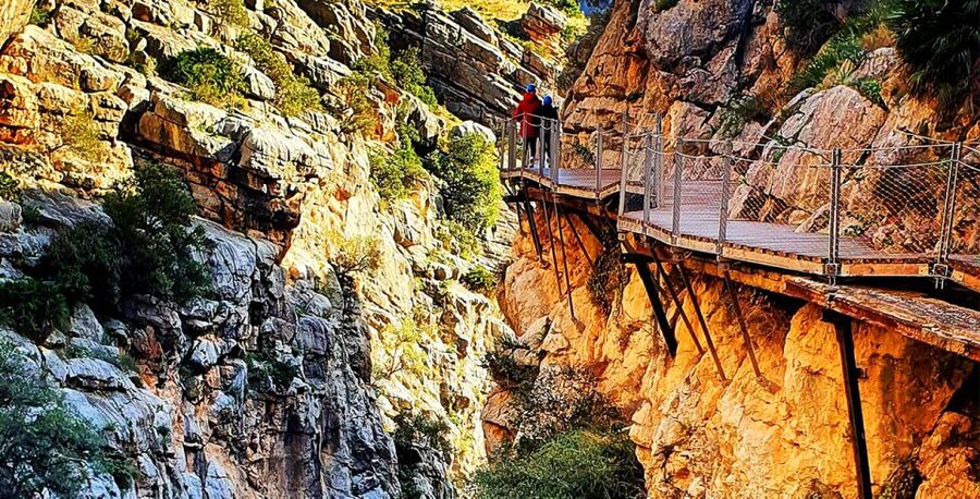 Málaga: Caminito del Rey Guided Tour with Transportation - What to bring, what to avoid, and tiny details that matter