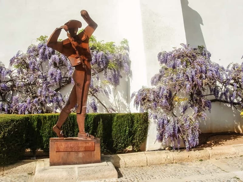 Málaga & Costa del Sol: Ronda and Setenil de las Bodegas - The coach ride you do not want to zone out during
