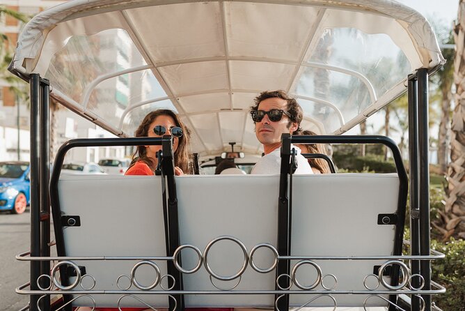 Malaga Expert Tour with Local Guide in Eco Tuk Tuk Private - The port and modern culture loop: Pompidou Málaga, La Farola, and the sea