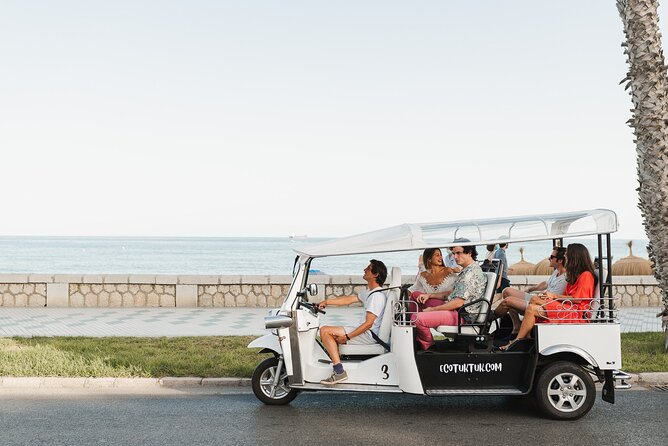 Malaga Express Tour with Local Guide in Eco Tuk Tuk Private - City institutions and culture stops: UMA, Bank of Spain, town hall, and Pompidou Málaga