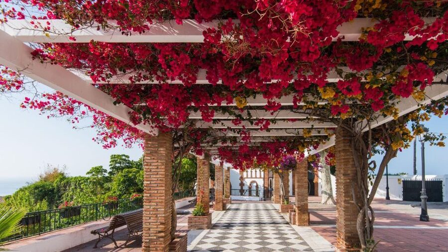 Malaga: Frigiliana & Nerja Tour with Local Product Tastings - Why this Malaga day trip works for first-time Costa del Sol visitors