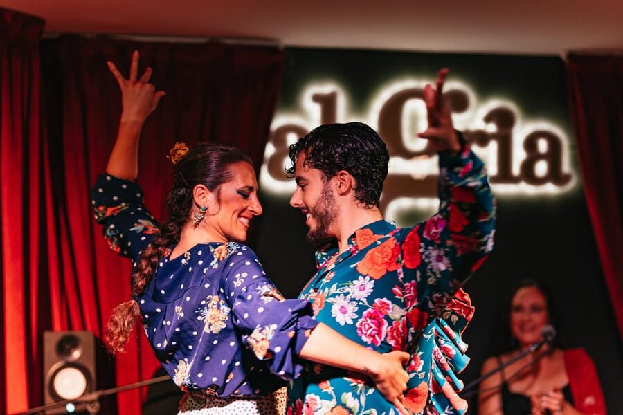 Málaga: Live Flamenco Show at Flamenco Alegría - The dancer solos: the part most people remember