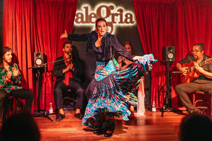 Málaga: Live Flamenco Show at Flamenco Alegría - Tapas and wine during the show: plan smart, not perfect