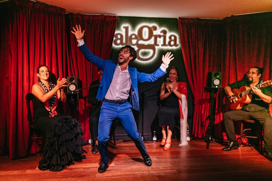 Málaga: Live Flamenco Show at Flamenco Alegría - Price and value: is $30 a fair deal?
