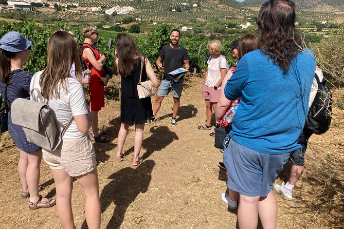 Malaga Organic Vineyard and Winery Six Wines Tapas and Transfer - Key points before you go
