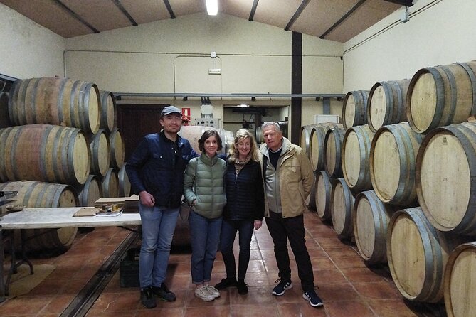 Malaga Organic Vineyard and Winery Six Wines Tapas and Transfer - From Pl. de la Marina to the countryside in a 9-seater van