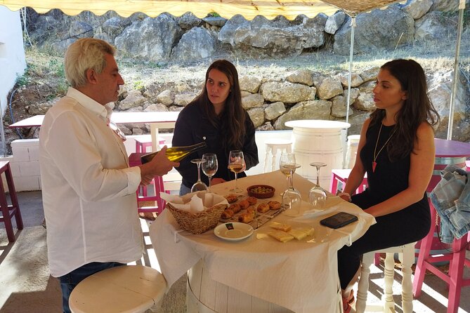 Malaga Organic Vineyard and Winery Six Wines Tapas and Transfer - Six wines and tapas: how the pairing experience actually helps you taste