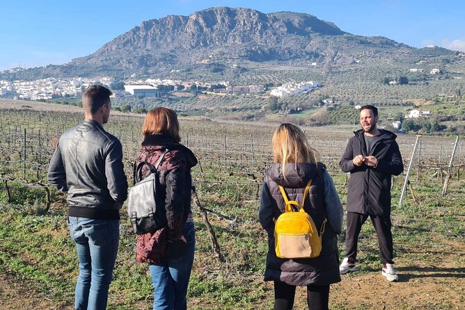 Malaga Organic Vineyard and Winery Six Wines Tapas and Transfer - Stop 4 back to Plaza de la Marina: the easy landing