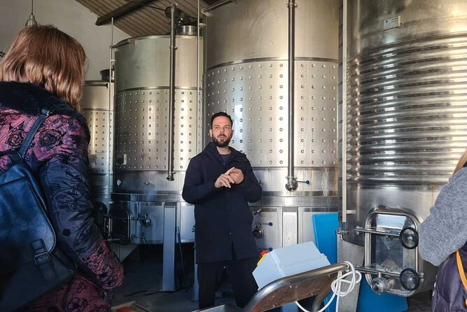 Malaga Organic Vineyard and Winery Six Wines Tapas and Transfer - Price and value: why about $114.93 can feel fair here