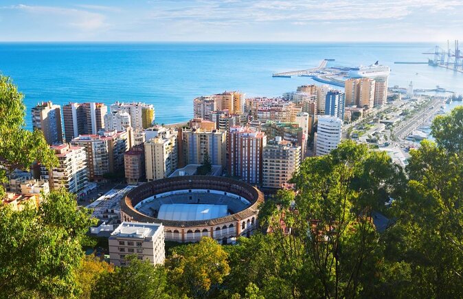 Malaga Organic Vineyard and Winery Six Wines Tapas and Transfer - Who should book this organic Malaga wine tour