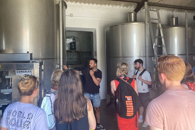 Malaga Organic Vineyard and Winery Six Wines Tapas and Transfer - BODEGA MALVAJIO: the garage winery tasting where wine is real