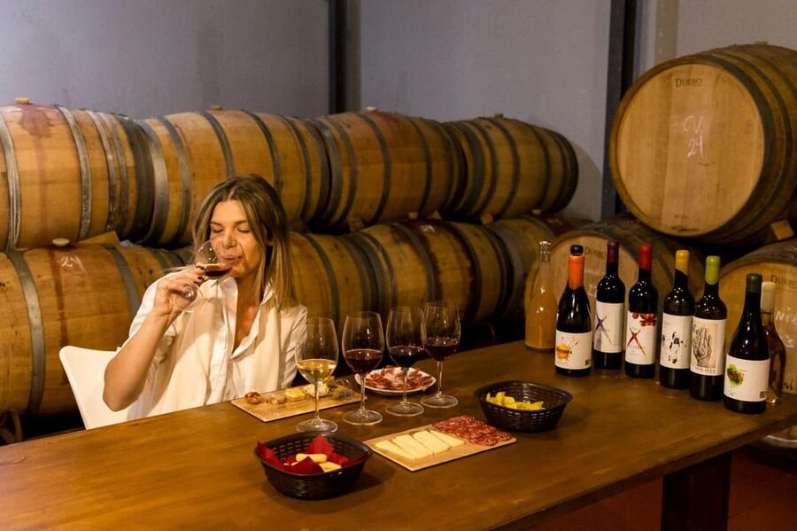 Malaga: Organic Vineyard Tour with 6 Wines, Tapas & Transfer - Key takeaways before you go