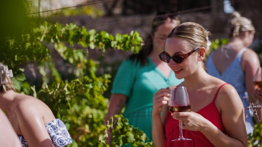 Malaga: Organic Vineyard Tour with 6 Wines, Tapas & Transfer - Why this Malaga organic wine day feels different from typical tastings