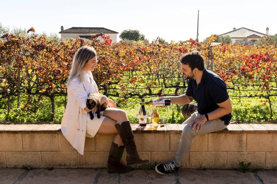 Malaga: Organic Vineyard Tour with 6 Wines, Tapas & Transfer - Organic vineyard walk: what you see and what you learn
