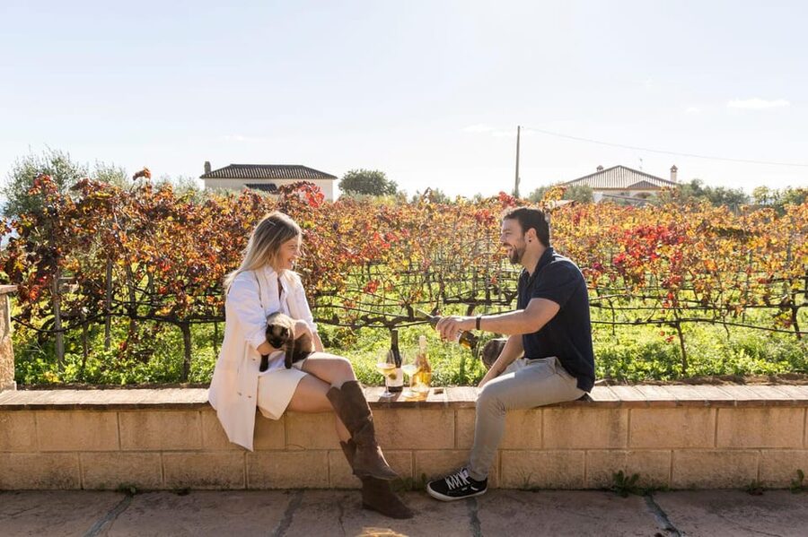 Malaga: Organic Vineyard Tour with 6 Wines, Tapas & Transfer - How the 6-wine tasting works, and how to get the most from it