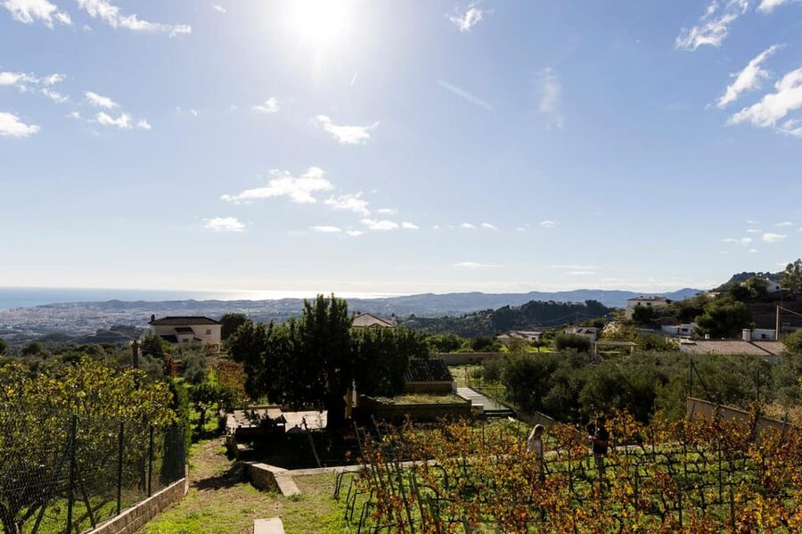 Malaga: Organic Vineyard Tour with 6 Wines, Tapas & Transfer - Tapas pairing: it’s not just food, it’s part of the lesson