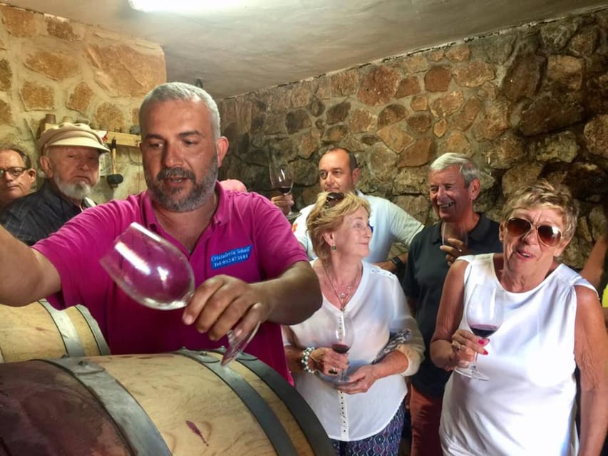 Malaga: Organic Vineyard Tour with 6 Wines, Tapas & Transfer - Best for which kind of traveler