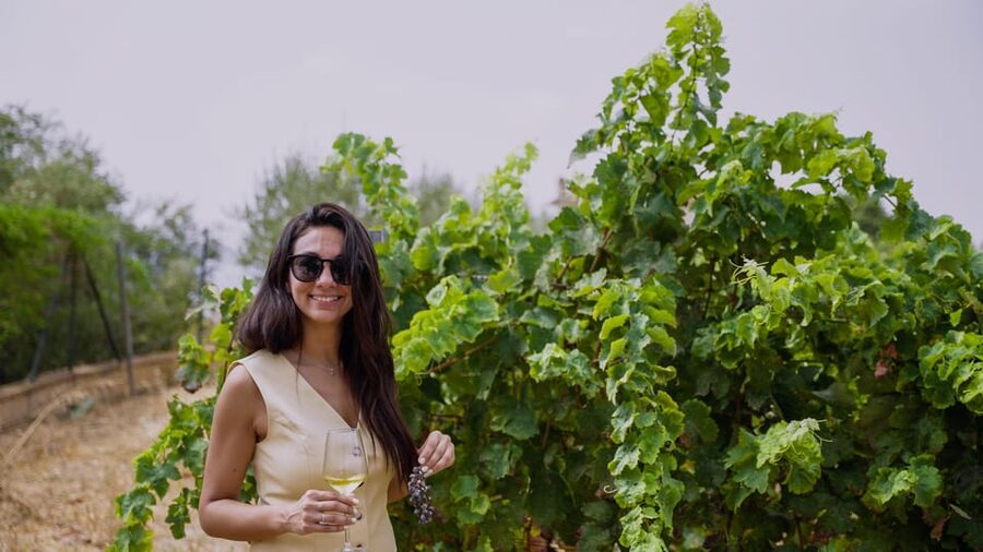 Malaga: Organic Vineyard Tour with 6 Wines, Tapas & Transfer - The 30-minute van ride that sets the tone