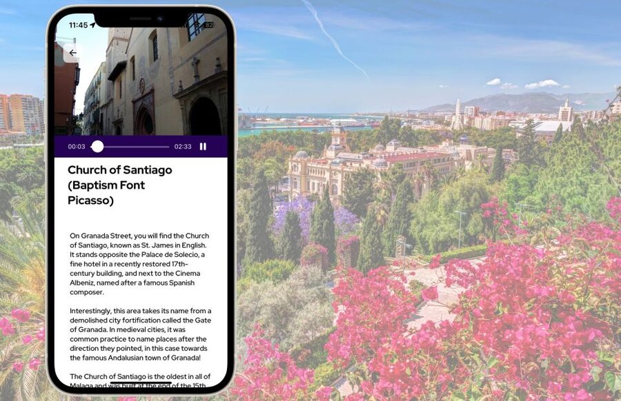 Málaga: Picasso Birthplace Museum Ticket & City Audio Guide - Key points before you go
