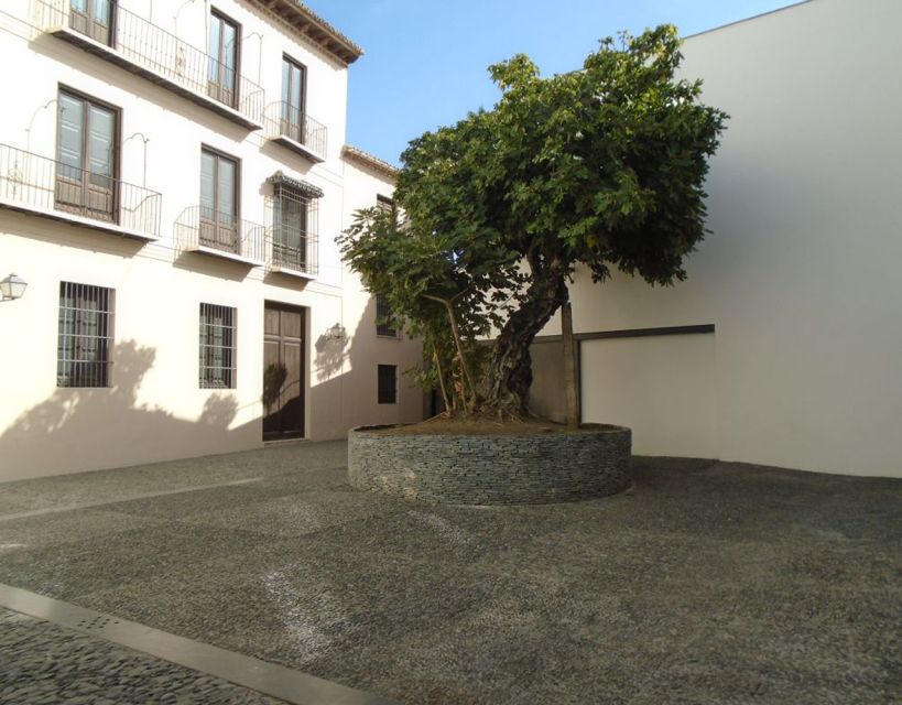 Malaga: Picasso Museum Guided Tour with Skip-the-Line Ticket - Language and timing rules you should not ignore