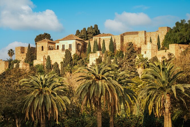 Malaga Private Walking Tour, Alcazaba & Catamaran Cruise - Where You Meet (and Why the Exact Pin Matters)