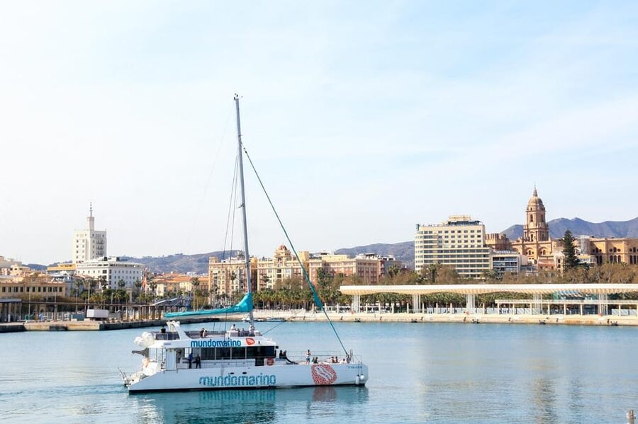 Malaga: Sailing Catamaran with Swimming and Paella Lunch - Open water swimming: the good part and the small reality check
