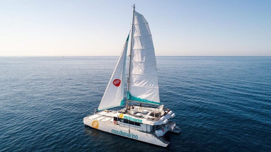 Malaga: Sailing Catamaran with Swimming and Paella Lunch - The paella lunch: what you’re actually eating onboard