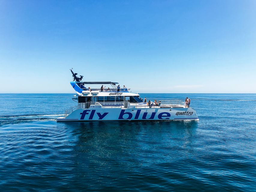 Málaga: Scenic Catamaran Cruise - The Cruise Route and What You Actually See From the Sea