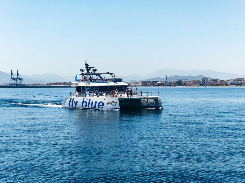 Málaga: Scenic Catamaran Cruise - Price and Value: About $15 for an Easy Hour on the Water