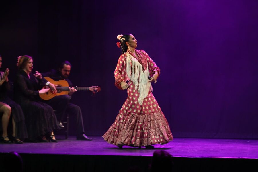 Malaga: Teatro Flamenco Malaga Live Flamenco Show - Key highlights you will actually care about