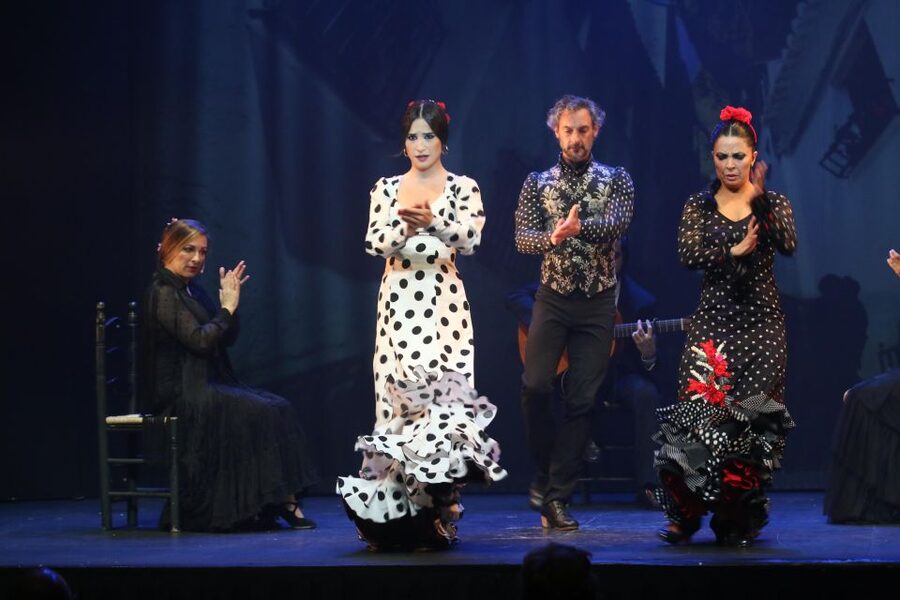 Malaga: Teatro Flamenco Malaga Live Flamenco Show - The bar and the no-food reality: plan your dinner like a local
