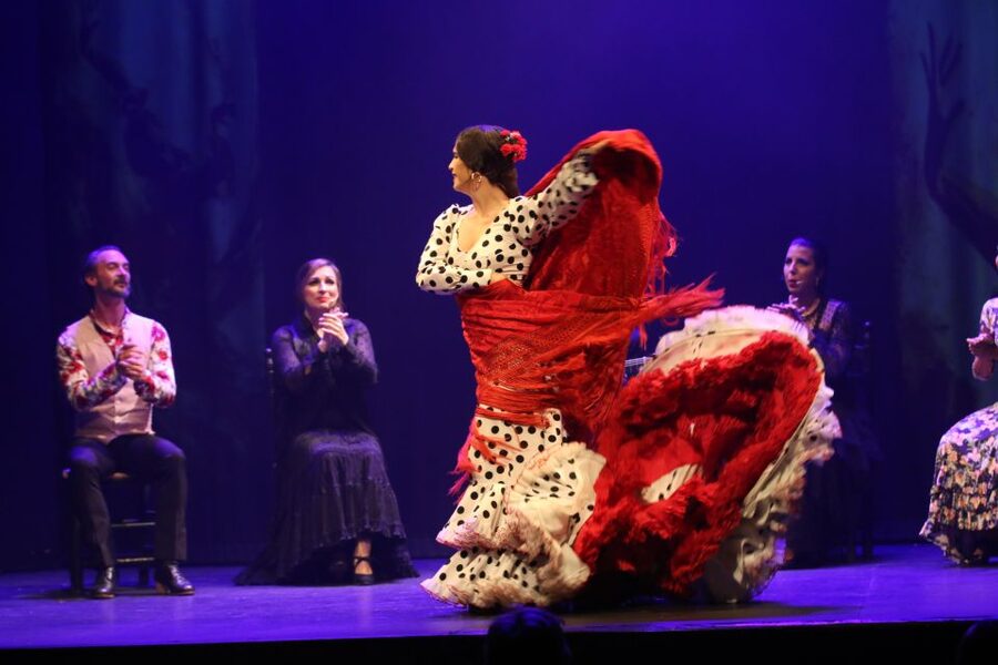 Malaga: Teatro Flamenco Malaga Live Flamenco Show - Quick practical checklist before you go