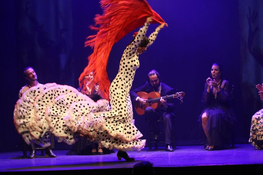 Malaga: Teatro Flamenco Malaga Live Flamenco Show - Tickets for about $34: why one hour is the right length