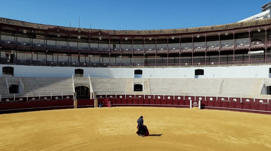 Malaga: Tour of Malagueta Bullring & Immersive Exhibition - Key things I found most interesting