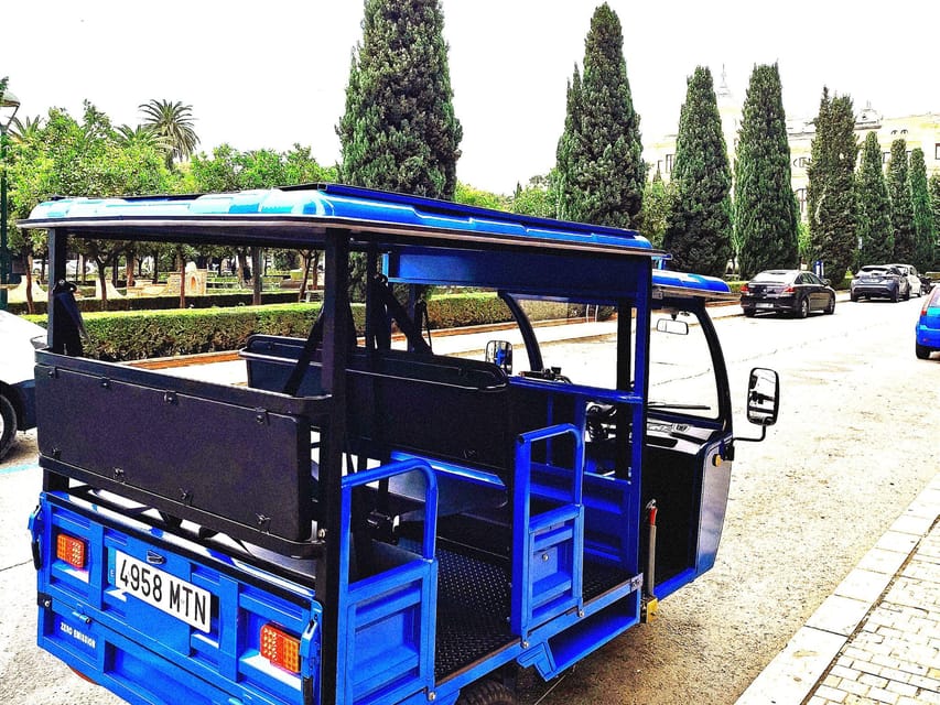 Malaga: Tuk tuk tour - Key things to know before you book