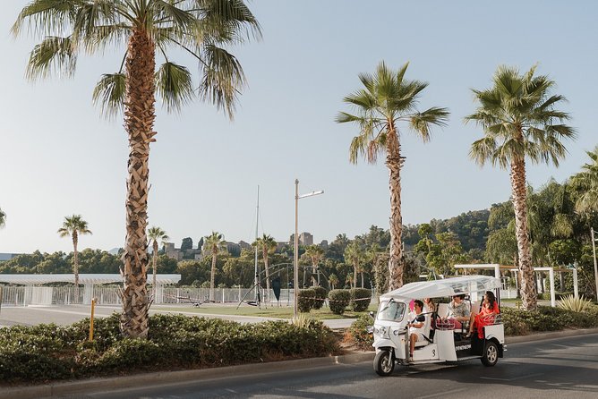 Malaga Welcome Tour with Local Guide in Eco Tuk Tuk Private - Price and Value: Why $28.67 Can Make Sense