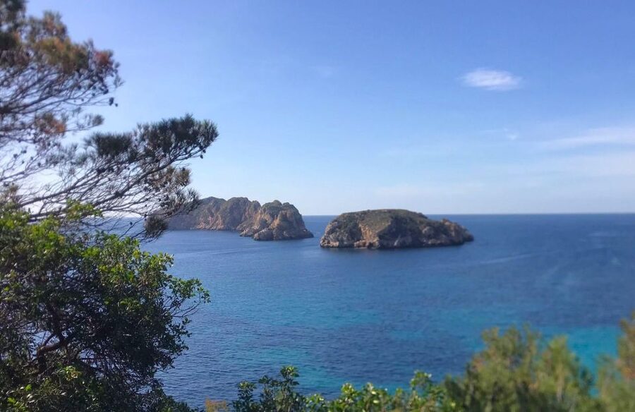 Mallorca: 2-Hour Coastline & Malgrat Islands Catamaran Tour - Price and Value: Is $29 Worth It?